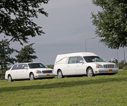 Cadillac DTS wit