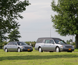 Cadillac DTS grijs