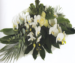 Witte bloemen boeket