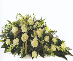 Witte bloemen rond